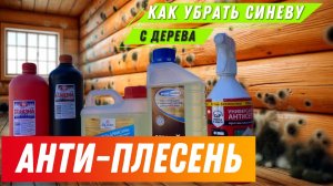 ОТБЕЛИТЬ древесину быстро ! #дом #баня #синева #отбеливатель