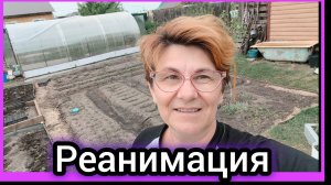 Кому-то повезло, а кому-то ...😵🤪