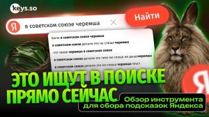 Это ищут в поиске прямо сейчас: сбор подсказок Яндекса онлайн