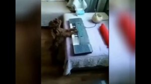 Приколись! Подборочка - супер!