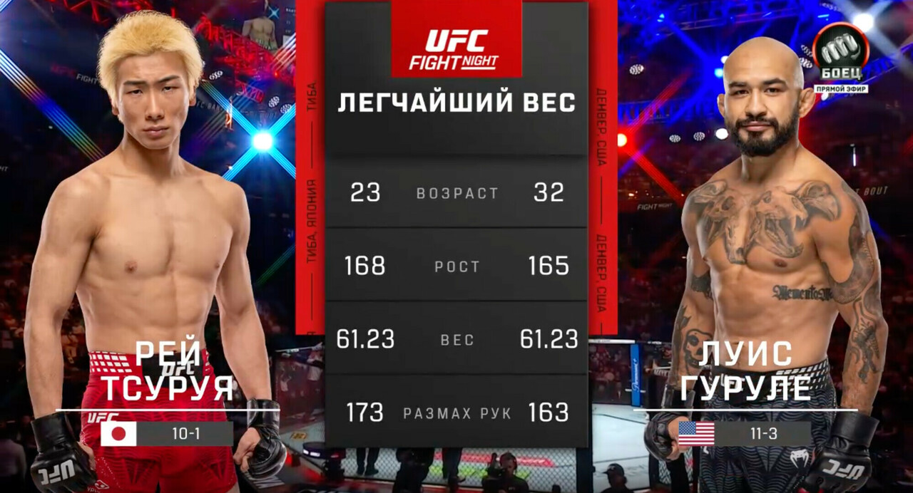 Рей Тсуруя против Луиса Гуруле (видео). UFC Fight Night