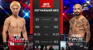 Рей Тсуруя против Луиса Гуруле (видео). UFC Fight Night