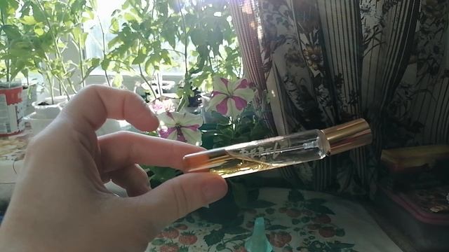 Мои летние ароматы. смотреть онлайн
