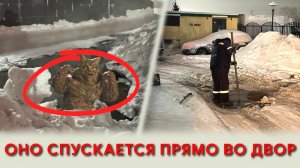 Во дворе на Немировича-Данченко произошёл разлив воды из люка