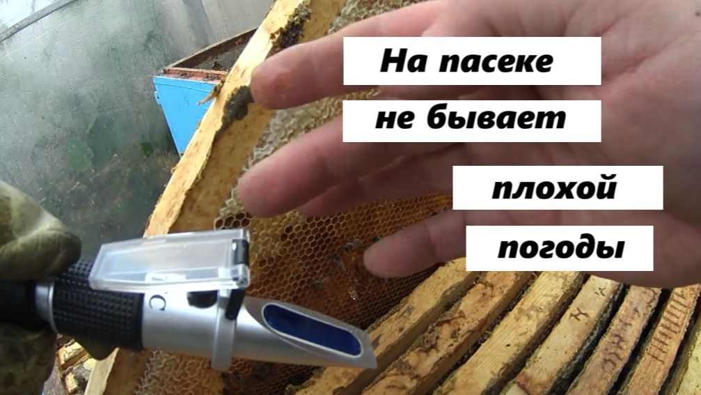 Плохая погода не причина для отдыха на пасеке смотреть онлайн