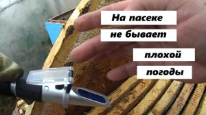 Плохая погода не причина для отдыха на пасеке