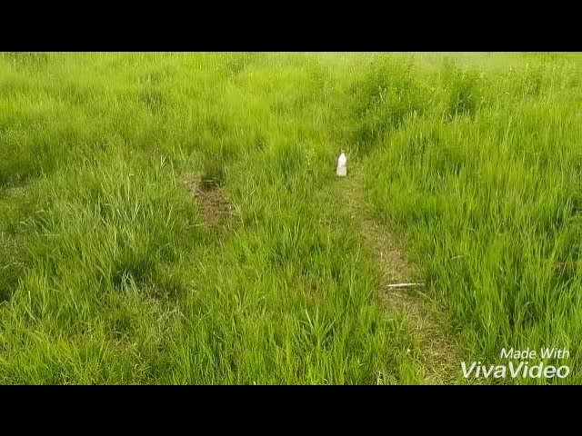 Ерш(крот)+фольга смотреть онлайн