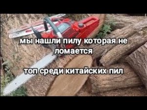 Бензопила, которая оказалась лучше остальных