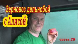 Дальнобой с Алисой / зерновозы / часть 28