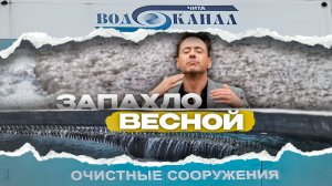 Разбор Редакции: Смердящая Чита. Почему и доколе?