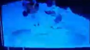 VID_311220110438
