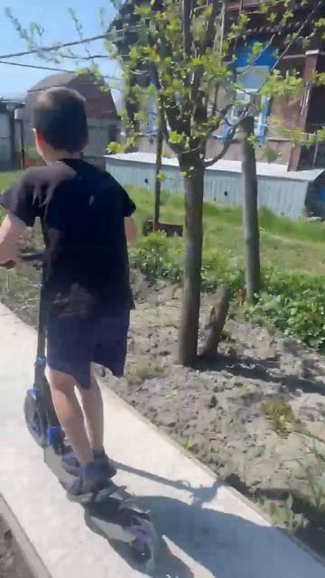 Банихоп смотреть онлайн