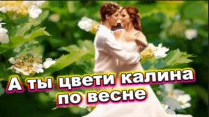 А ты цвети калина по весне - Елена Карпук