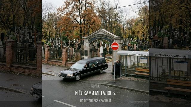 Остановка П.Мамонов