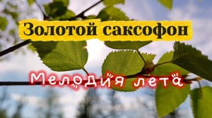 МУЗЫКА ДЛЯ ДУШИ. МЕЛОДИЯ ЛЕТА.  ВОЛШЕБНЫЙ САКСОФОН