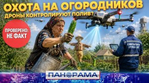 Дроны против дачников и сокровища 90-х в терриконах Донбасса: новая порция фейков из сети