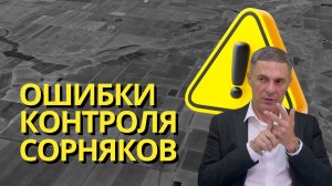 Сорняки на пшенице после выхода в трубку? Проблеме уже много лет | Агроном | Сергий Ризанов