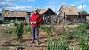 Куда дела саженцы?  Дела огородные.