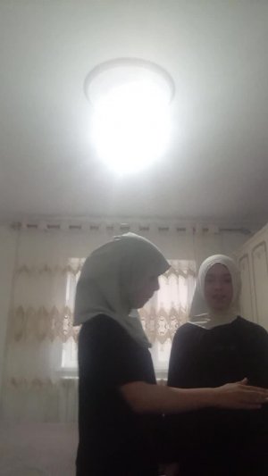 три шпиона