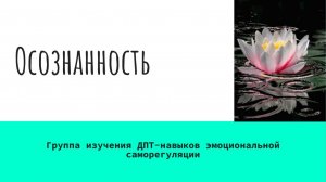 2 Осознанность ДПТ Навыки эмоциональной регуляции