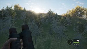 theHunter_COTW_033_Зоммер_Лисица_и_прицел