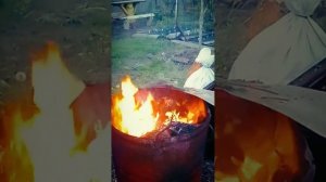 Вечер, костер, птицы поют...