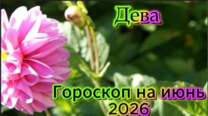 Дева! Гороскоп на июнь 2026 года!