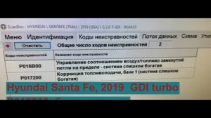 Hyundai Santa Fe, 2019  GDI turbo  Код ошибки P017200 (или P0172)