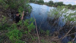 Рыбалка на боковой кивок. Большая поездка на реку Ница.