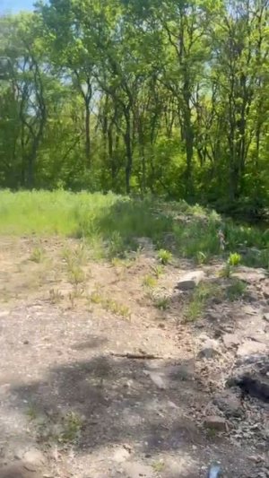 video_2026-05-23_21-55-31
