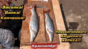 Сельская подготовка к копчению и само копчения 2026! Жерих. Ленок. Хариус