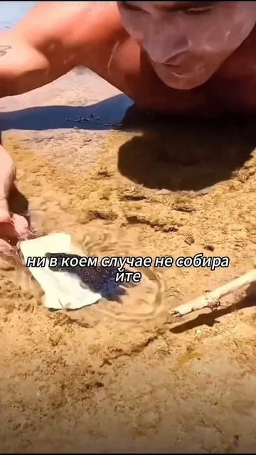 #популярное