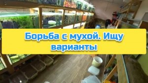 Борьба с мухой. Ищу варианты