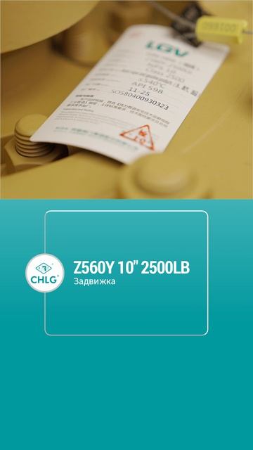 Z560Y 10'' 2500LB Запорный затвор-CHLG