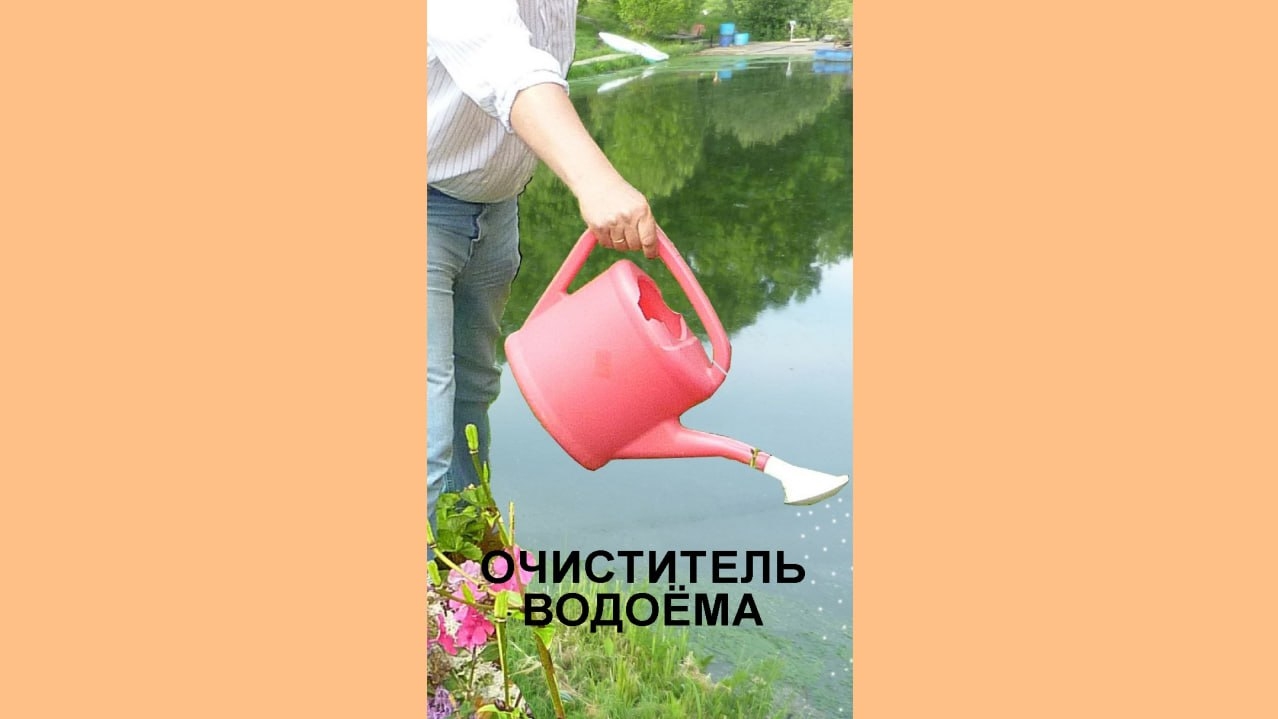 ОЧИСТИТЕЛЬ ВОДОЁМА.