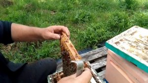Кино про Могорь
