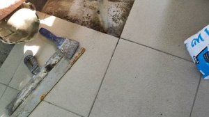 На даче! Дачные хлопоты.