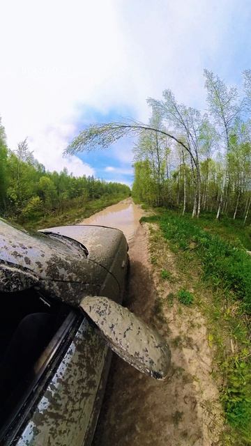 Залипательно #4×4 #шнива #оффроуд #лес #бездорожье