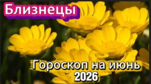 Близнецы! Гороскоп на июнь 2026 года!