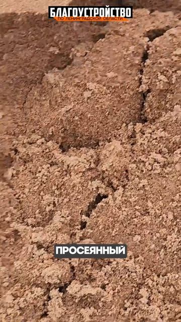 Отсыпка участка после расчистки и планировки