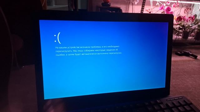 Shankomse-paton Has BSoD