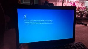 shankomse-paton has BSoD