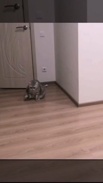 Как правильно нужно подтираться смотреть онлайн