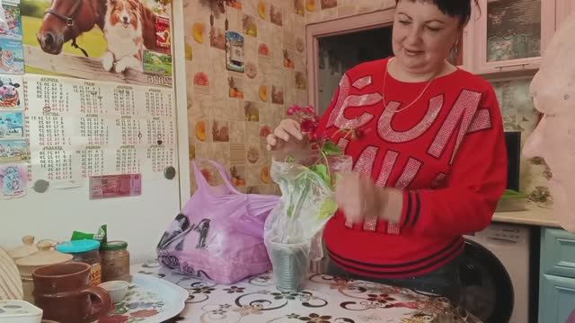 МАССАЖ ДЛЯ НОГ, ЖАРЮ КАМБАЛУ, КОЕ-ЧТО КУПИЛА смотреть онлайн