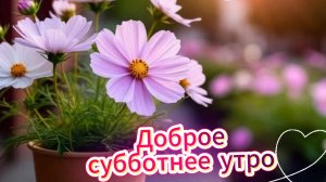 Доброе субботнее утро – красивая открытка с музыкой и пожеланиями