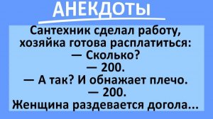 Сантехник и хозяйка, готовая расплатиться... | Анекдоты смешные | Юмор