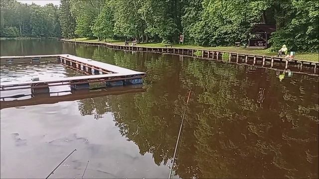 Вода остыла, работают живые насадки. Верхний пруд. Клёвое место Лосиный остров.