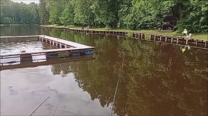 Вода остыла, работают живые насадки. Верхний пруд. Клёвое место Лосиный остров.