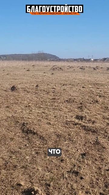 Расчистка, планировка и отсыпка участка