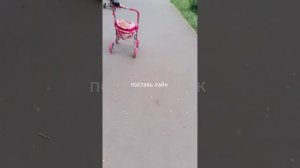 я у бабушки в новокуйбешевске